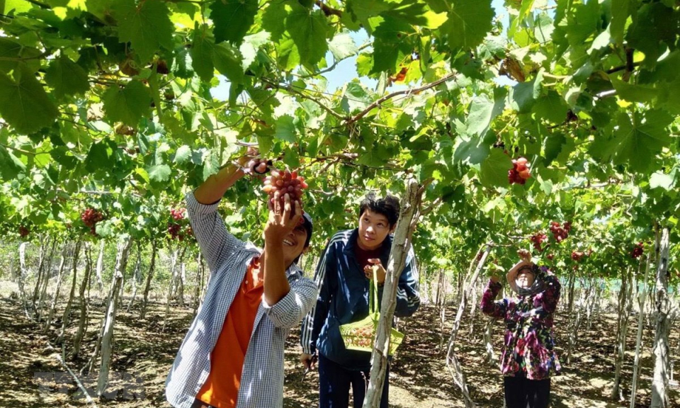 Việt Nam có nhiều tiềm năng khai thác du lịch trải nghiệm