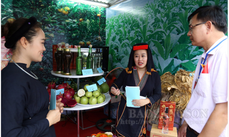 Đổi thay trên quê hương cách mạng