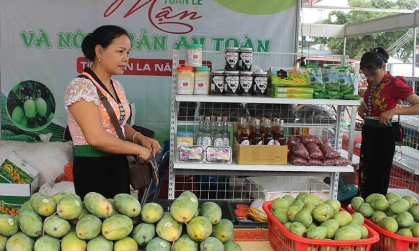 Phát triển kinh tế trung du, miền núi phía bắc đảm bảo an ninh quốc phòng