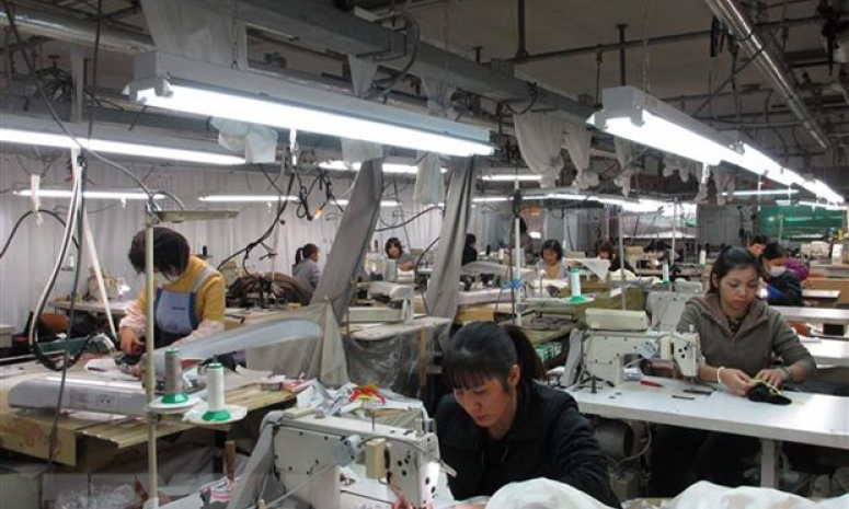 Nhật Bản hạn chế tình trạng thực tập sinh nước ngoài bỏ trốn