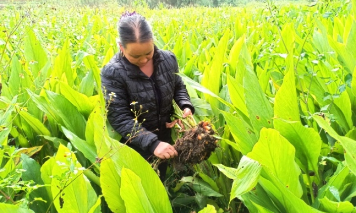 Doanh nghiệp thất hứa, dân khốn khổ