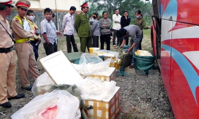 Bắt xe ôtô khách chở 600kg mèo đông lạnh không rõ nguồn gốc