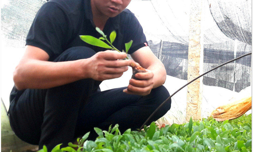 Đảng viên trẻ học và làm theo gương Bác