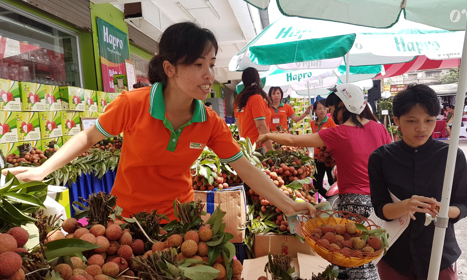 Giao thương trực tuyến nông sản với Trung Quốc, Singapore