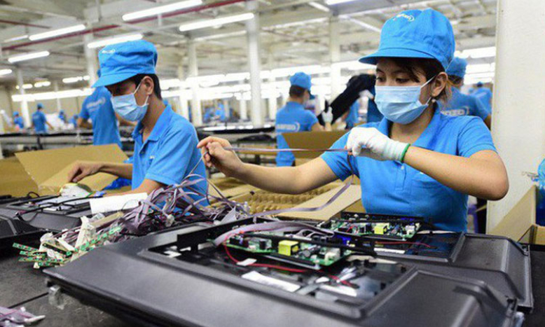 Vì sao đề xuất đưa hộ kinh doanh vào Luật?