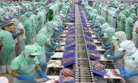 Chỉ thị một số nhiệm vụ, giải pháp phát triển công nghiệp chế biến nông lâm thủy sản