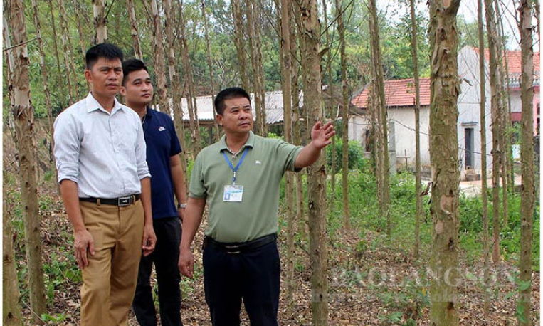 Giải quyết tranh chấp, lấn chiếm đất lâm nghiệp ở Hữu Lũng: Nhiều giải pháp tích cực, hiệu quả