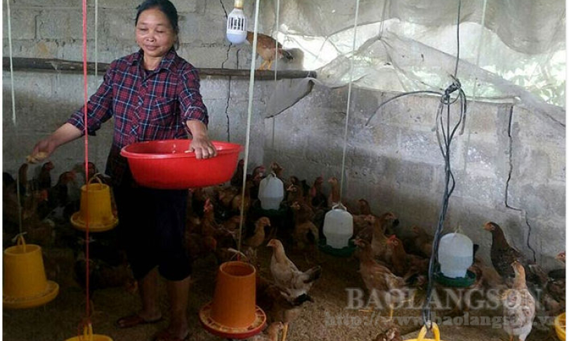 Phụ nữ xã Thanh Long: Thi đua “Dân vận khéo” thúc đẩy phát triển kinh tế hộ