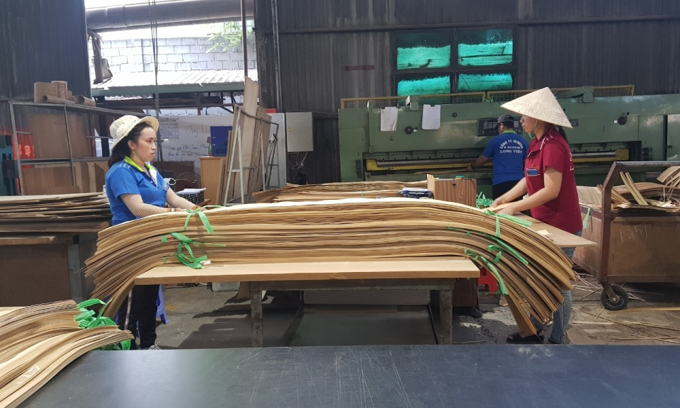 Không dung túng DN phá giá gỗ ván dán