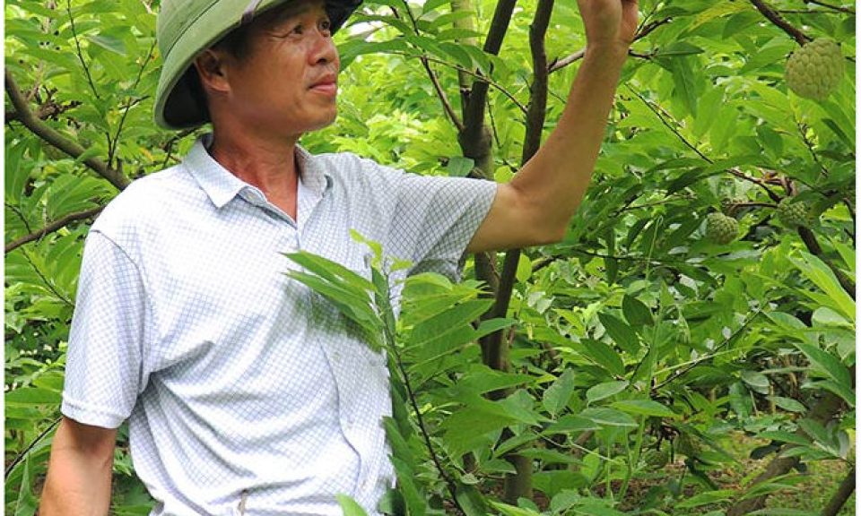 Chương trình cung ứng phân bón trả chậm: Nhiều lợi ích cho nông dân