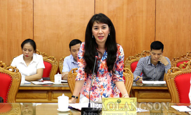Lãnh đạo UBND tỉnh làm việc với đoàn công tác về các tổ chức phi chính phủ nước ngoài