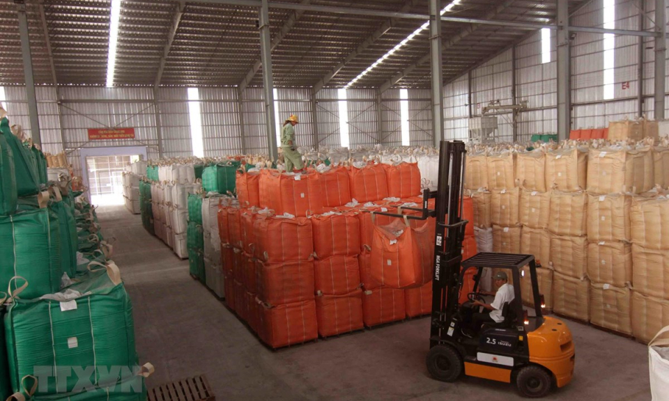 Cơ hội khẳng định vị thế gạo Việt Nam trên thị trường EU và thế giới