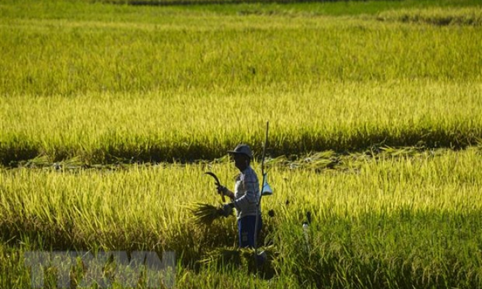 Chính phủ Indonesia tin tưởng RCEP được ký kết trong năm nay
