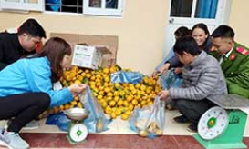 Thanh niên huyện Tràng Định: Học tập và làm theo gương Bác