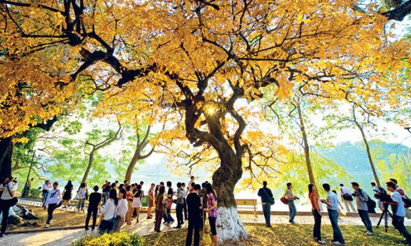 Thế giới quay cuồng vì đại dịch, cuộc sống ở Việt Nam vẫn bình thường