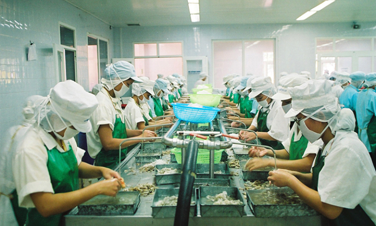 Tận dụng cơ hội để xuất khẩu