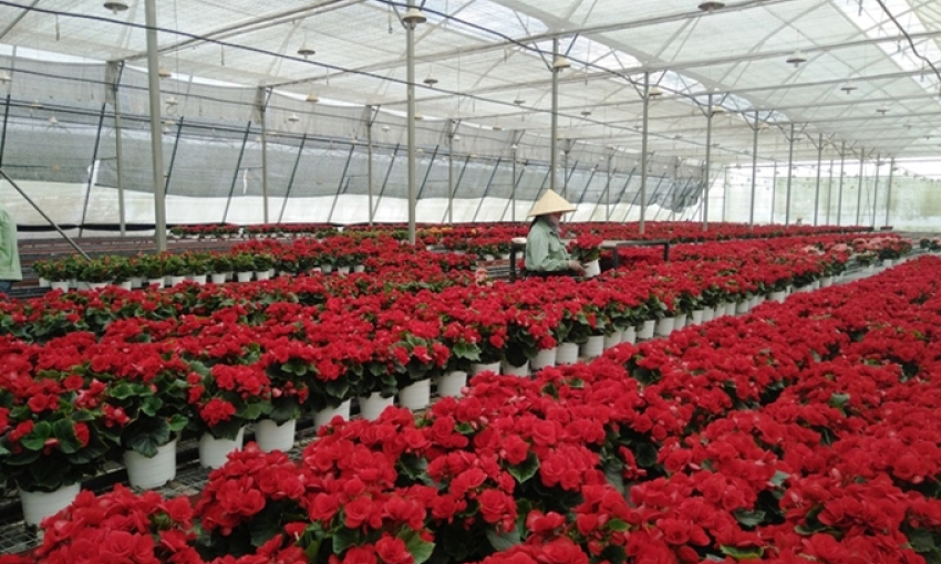 Thu hút đầu tư vào nông nghiệp: Nhà nước cần đồng hành cùng doanh nghiệp!