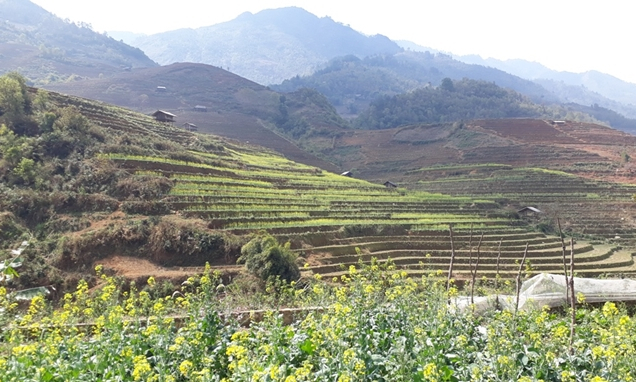 Mù Cang Chải phấn đấu đưa du lịch thành ngành kinh tế mũi nhọn