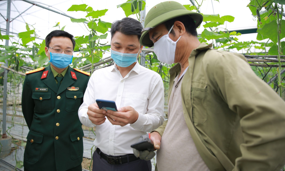 Ứng dụng chuyển đổi số của Viettel Post giúp ‘giải cứu’ nông sản Hải Dương