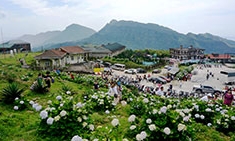Đẩy nhanh giải phóng mặt bằng dự án khu du lịch sinh thái cáp treo Mẫu Sơn