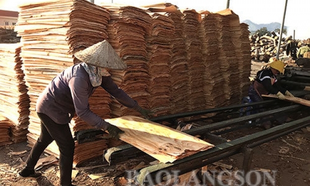 Tập trung xử lý tình trạng xây dựng xưởng chế biến gỗ trái phép trên đất nông nghiệp