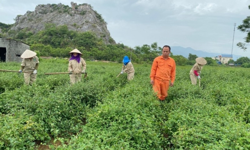 Nỗ lực đưa phẩm sản phẩm OCOP lên sàn thương mại điện tử