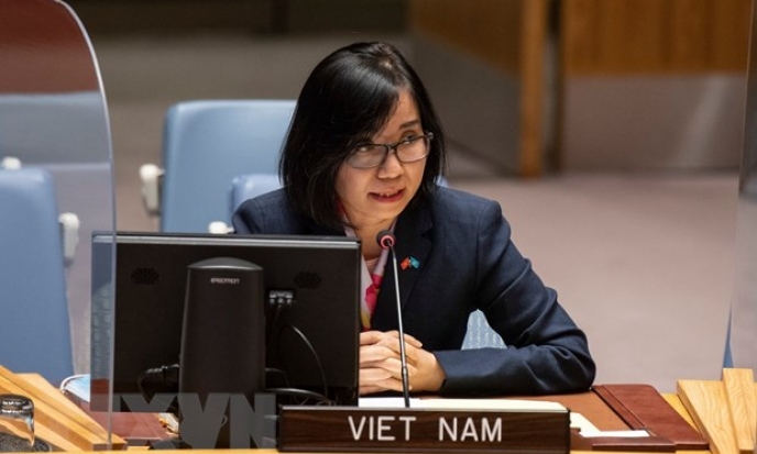 Việt Nam kêu gọi xử lý thách thức tại châu Phi