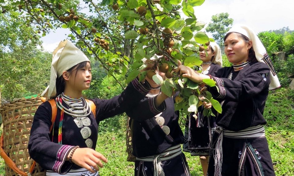 Điểm tựa vươn lên thoát nghèo bền vững