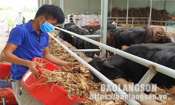Bài 2: Chủ động rà soát, thẩm định và hỗ trợ cho lao động tự do