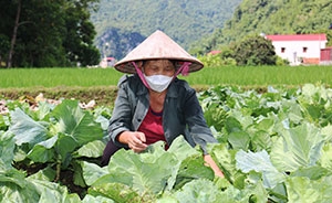 Báo Đức nhận định về chuyến thăm châu Âu của Chủ tịch Quốc hội