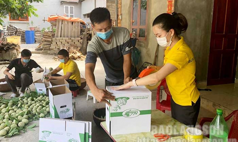 Bưu điện tỉnh: Linh hoạt tham gia phát triển kinh tế số