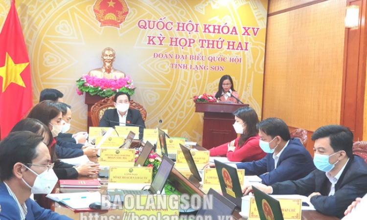 Ngày làm việc cuối đợt I, Kỳ họp thứ hai, Quốc hội khóa XV: ĐBQH tỉnh góp ý kiến vào kế hoạch cơ cấu