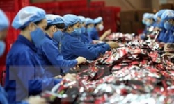 Báo Singapore: EVFTA giúp giảm bớt tác động của suy thoái kinh tế