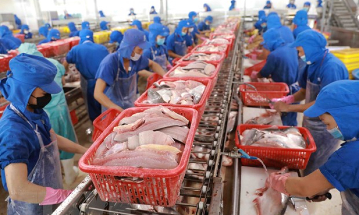Kim ngạch xuất khẩu thủy sản của Việt Nam dự kiến cán đích 8,67 tỷ USD