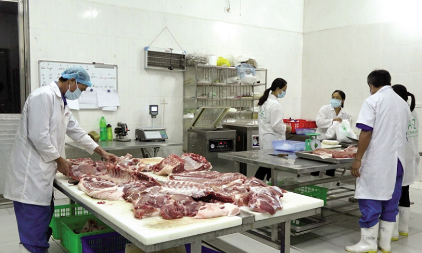 Nhân rộng các mô hình chăn nuôi an toàn sinh học