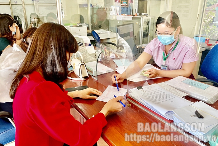 Nghiến tái sinh - tín hiệu vui từ rừng Hữu Liên