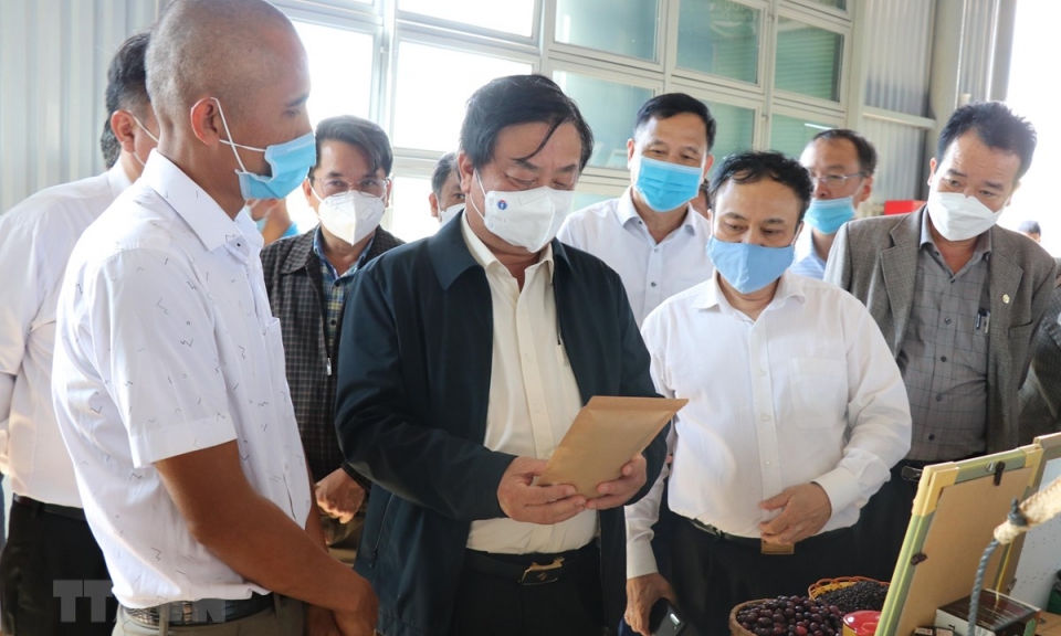 Nông nghiệp bền vững: Hình thành đội ngũ nông dân chuyên nghiệp