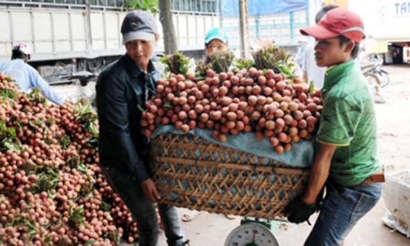 Phát huy Giá trị chỉ dẫn địa lý