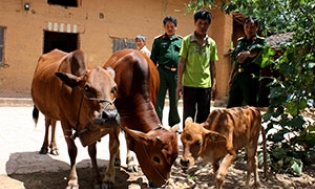 Đoàn Kinh tế - Quốc phòng 338: Cờ đầu thi đua quyết thắng