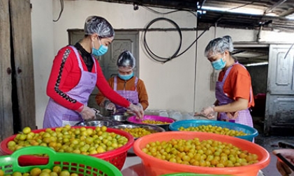 Hợp tác xã Nông trang sinh thái Mẫu Sơn: Chú trọng phát triển sản phẩm OCOP