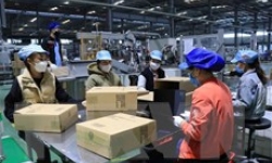 Hệ thống chỉ tiêu, báo cáo thống kê đã được bổ sung, hoàn thiện