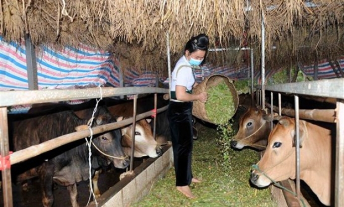 Nhận diện những ưu tiên trong chính sách xã hội của Việt Nam đến 2030