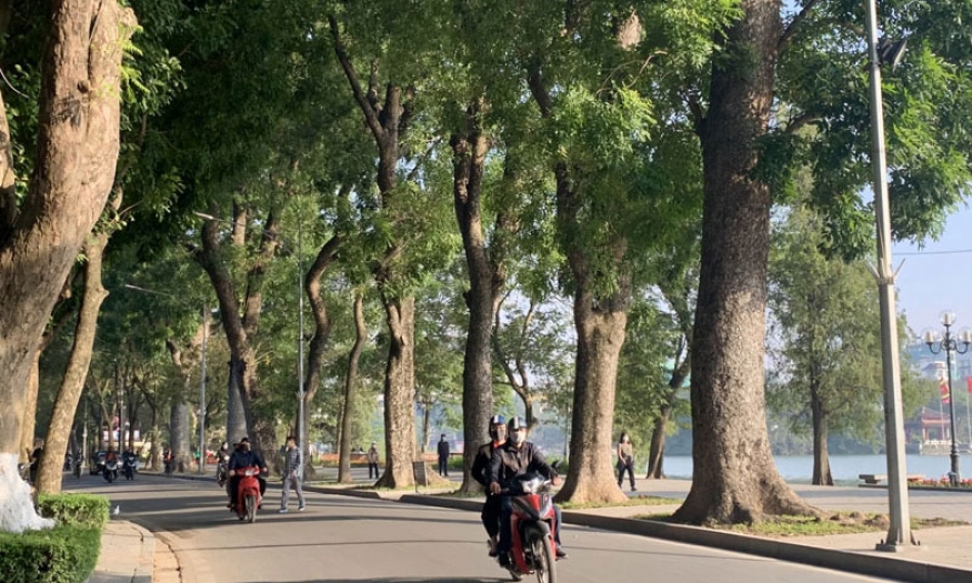 Ngày 8/3: Bắc Bộ rét về đêm và sáng, ngày nắng