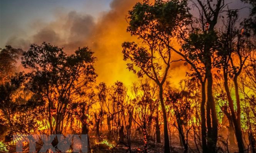 Cháy rừng ở Australia có thể liên quan đến sự suy giảm tầng ozone