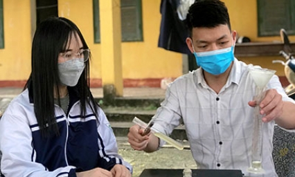 Sử dụng làm nguyên liệu tráng gương: Ý tưởng giúp nâng cao giá trị củ ráy