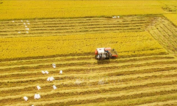 Kiến tạo không gian phát triển kinh tế nông nghiệp