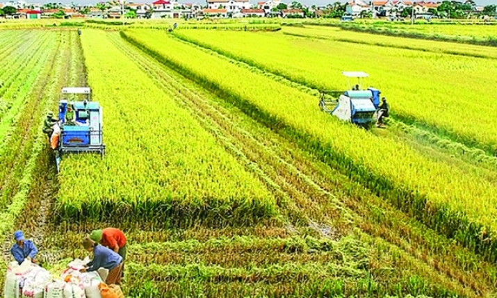 Bỏ quy hoạch sản phẩm nông nghiệp là bước tiến rất lớn