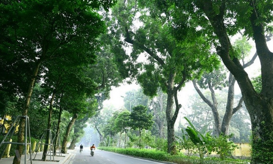 Ngày 15/5, Bắc Bộ trời mát, vùng núi có nơi chuyển lạnh