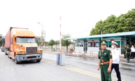 Cần tăng cường thu hút doanh nghiệp nhập khẩu dược liệu qua Cửa khẩu Chi Ma
