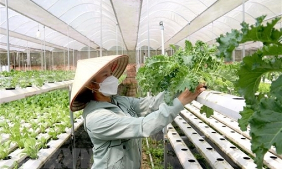 Nghị quyết Hội nghị lần thứ năm, Ban Chấp hành Trung ương Đảng khóa XIII về "Tiếp tục đổi mới, phát triển